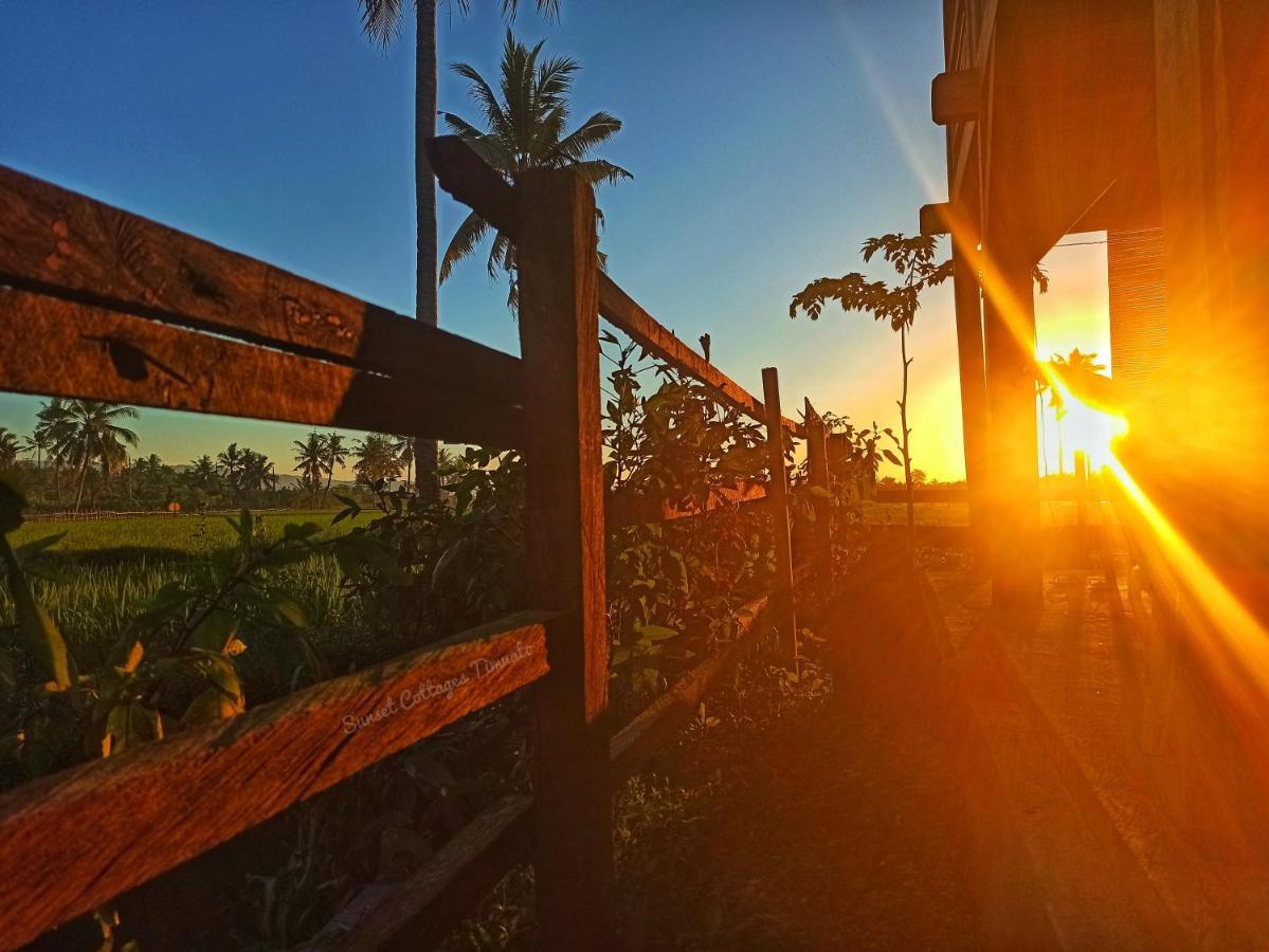 Sunset Homestay By Harry & Mimin Telaga المظهر الخارجي الصورة