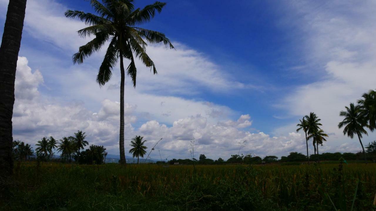 Sunset Homestay By Harry & Mimin Telaga المظهر الخارجي الصورة